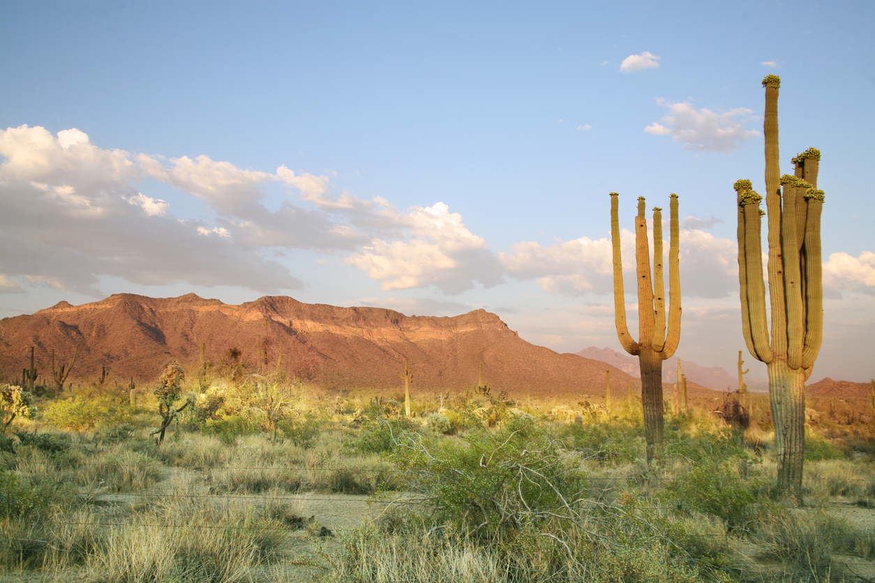 Sonora LTL and FTL from Tax Air Nationwide
